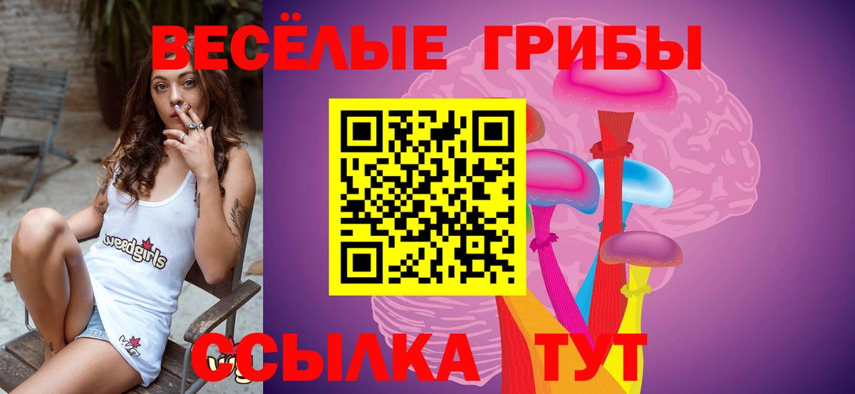 Псилоцибиновые грибы мухоморы Наро-Фоминск